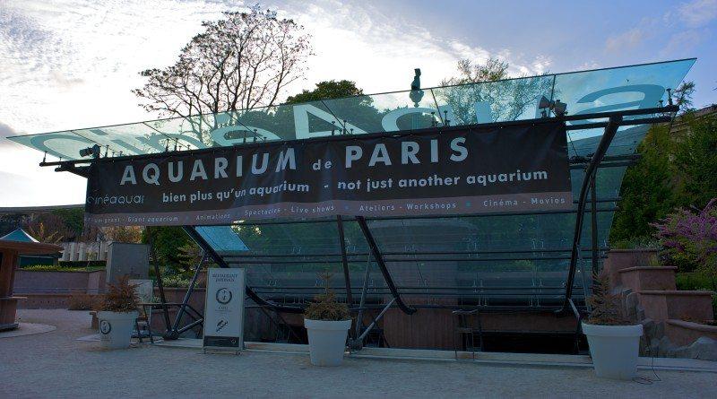 Aquarium de Paris - oceanarium w Paryżu